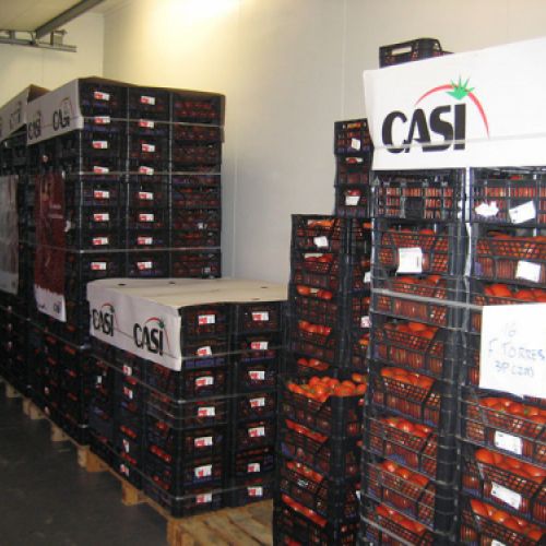 Almacén con cajas de naranjas