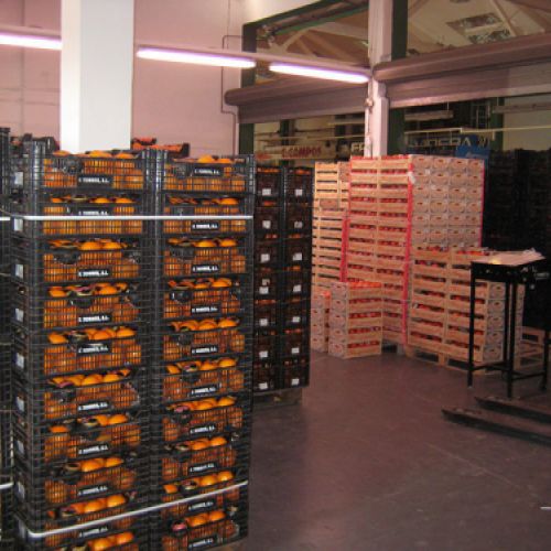 Gran almacén con cajas de frutas