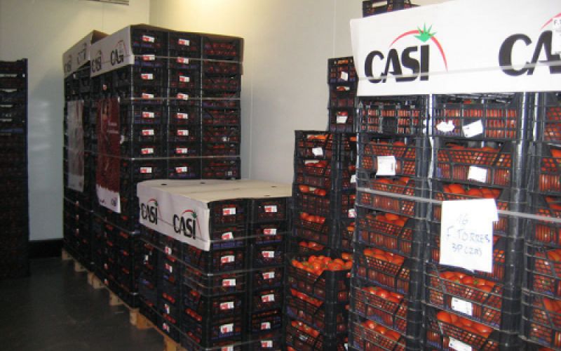 Almacén con cajas de naranjas