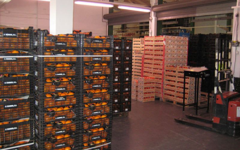 Gran almacén con cajas de frutas