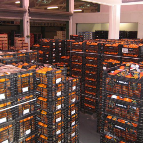 Vista de almacén con cajas de frutas y verduras