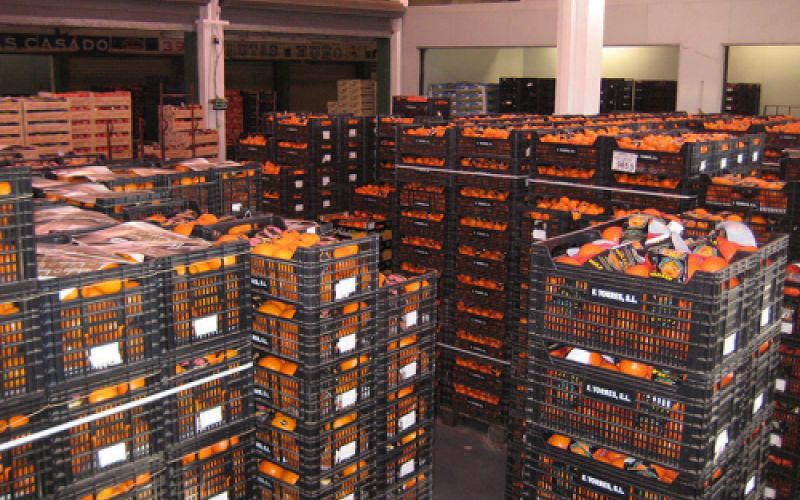 Vista de almacén con cajas de frutas y verduras