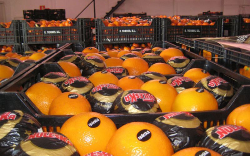 Cajas de naranjas