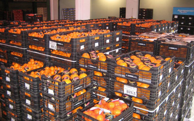Almacén con muchas cajas de naranjas