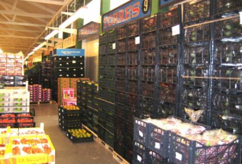 Venta de frutas y verduras al por mayor