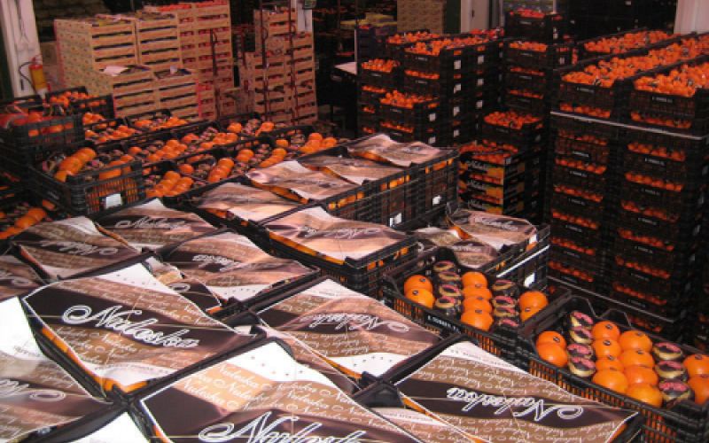 Varias cajas de naranjas de marca Naleska en almacén