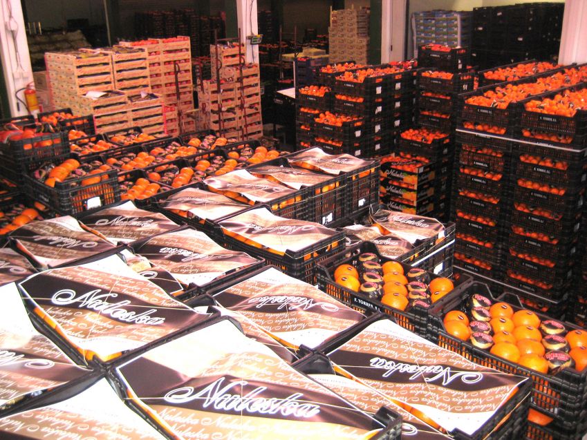 Mayorista de frutas y verduras